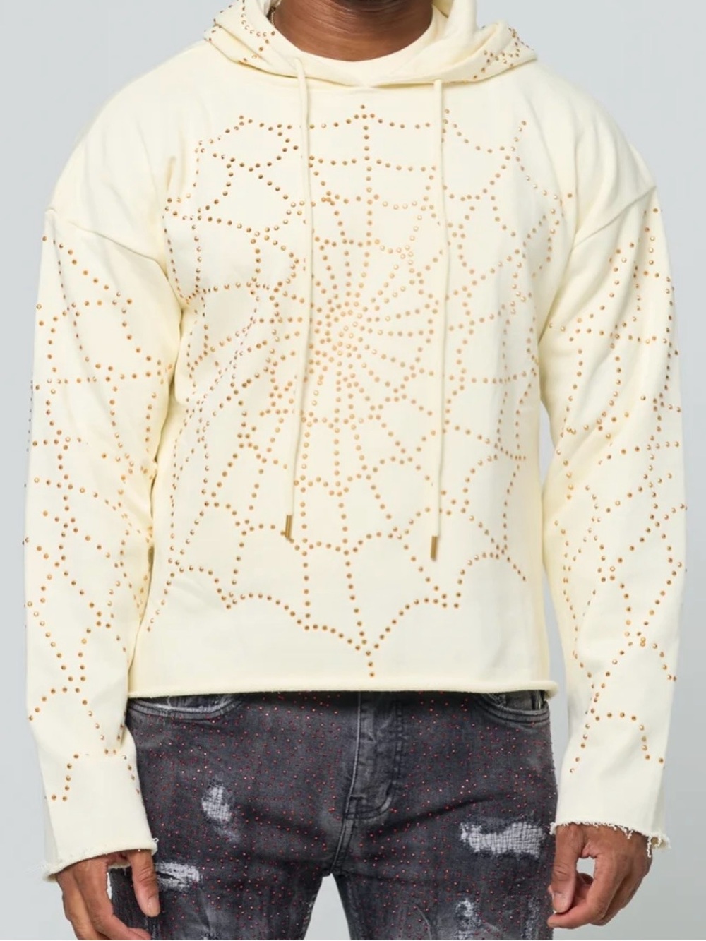 FWRD Denim French pullover hoodie